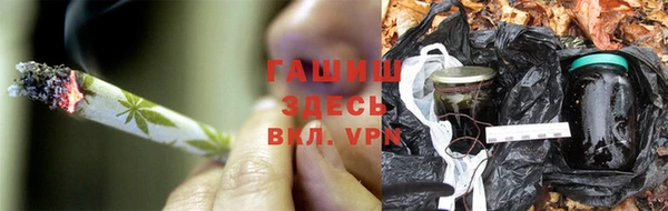 гидра Каменногорск