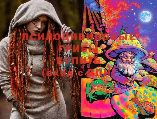стафф Аркадак