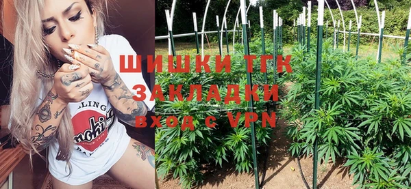 стафф Аркадак