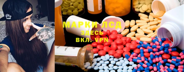 стафф Аркадак